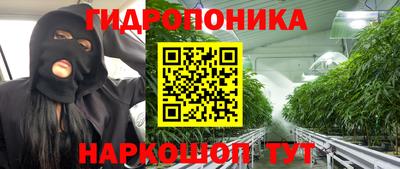 ПСИЛОЦИБИНОВЫЕ ГРИБЫ Донской