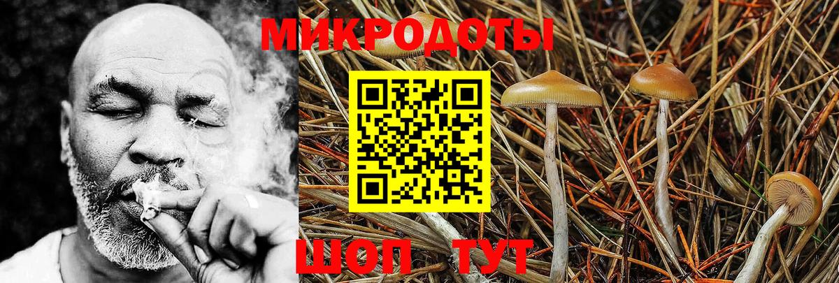 Галлюциногенные грибы Psilocybine cubensis  Галлюциногенные грибы мухоморы  Муравленко  Вход с VPN 